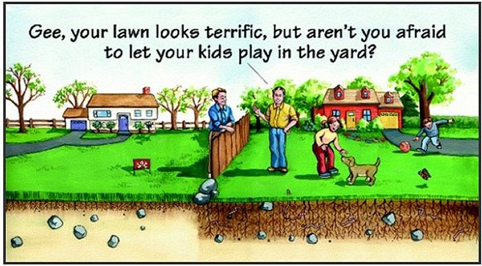 The Cost of Conventional Lawn Care