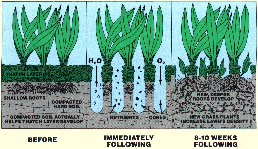 Benefits of Core Aeration