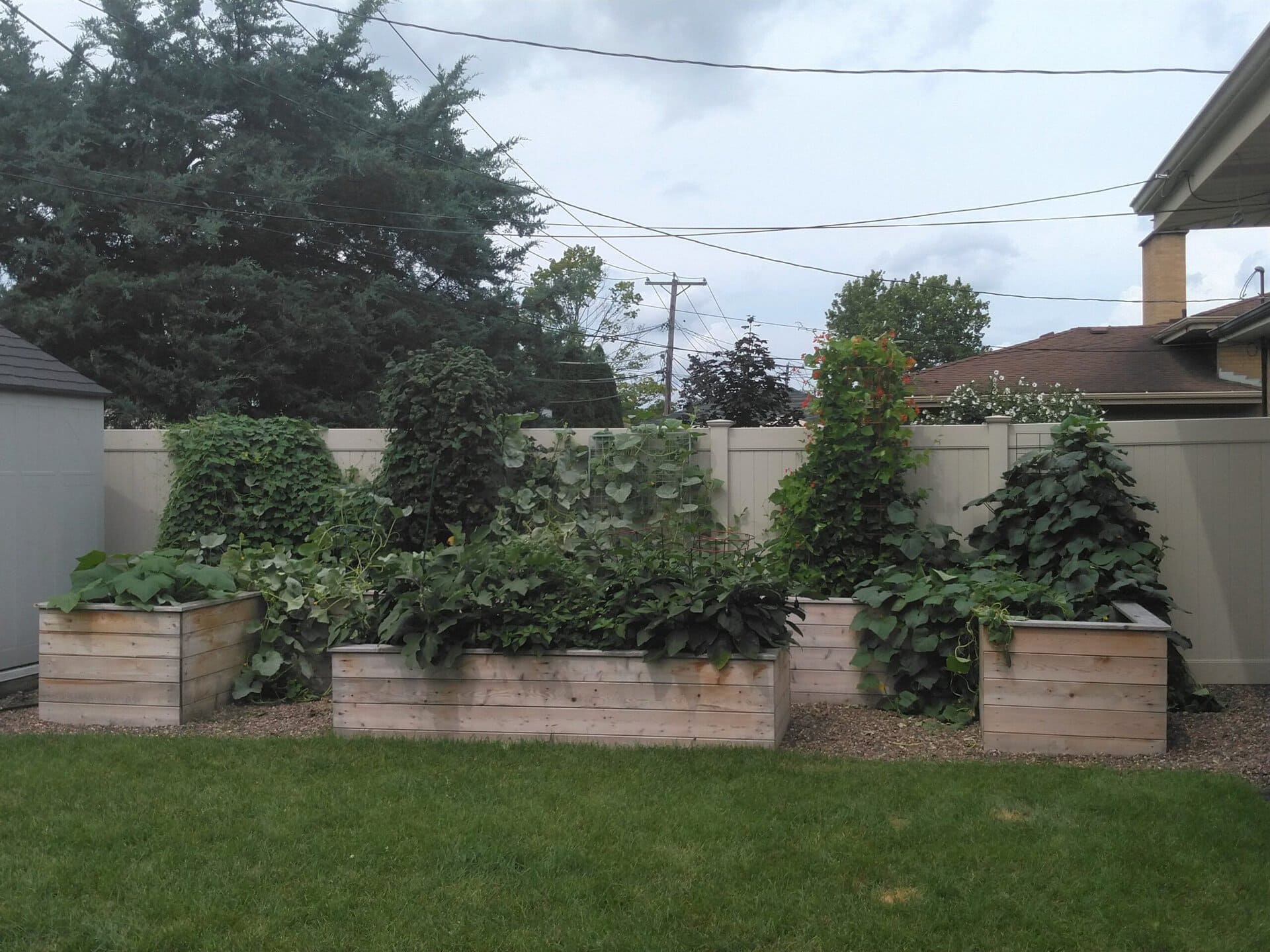 COVER PHOTO-La Grange Park-Raised Vegetable Beds-After