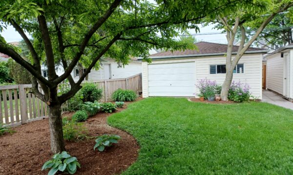 Backyard Makeover