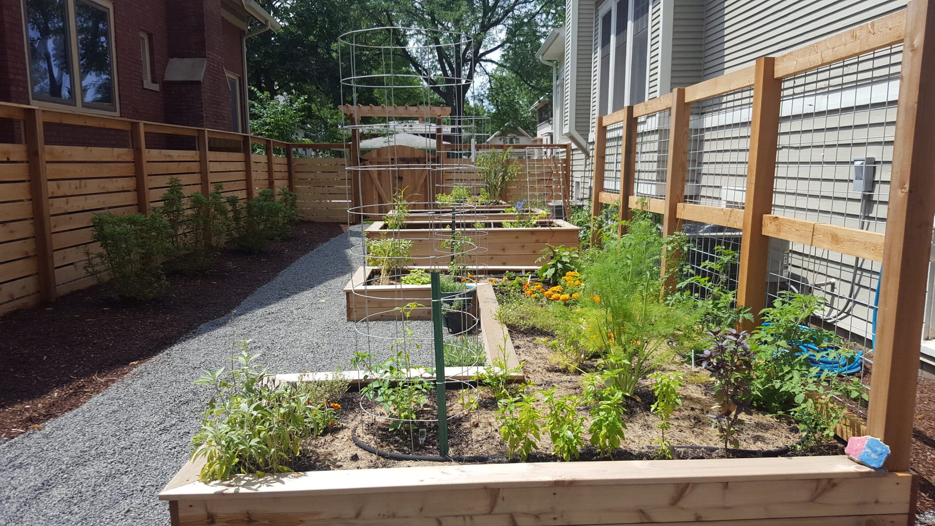 Raised-Vegetable-Beds (1)