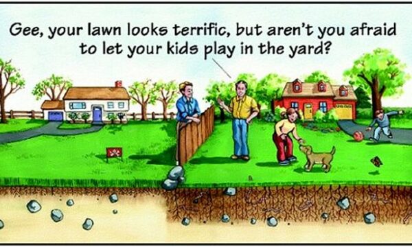 Conventional Lawn Care