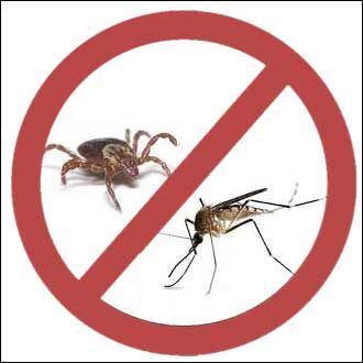 Tick & Mosquito Control