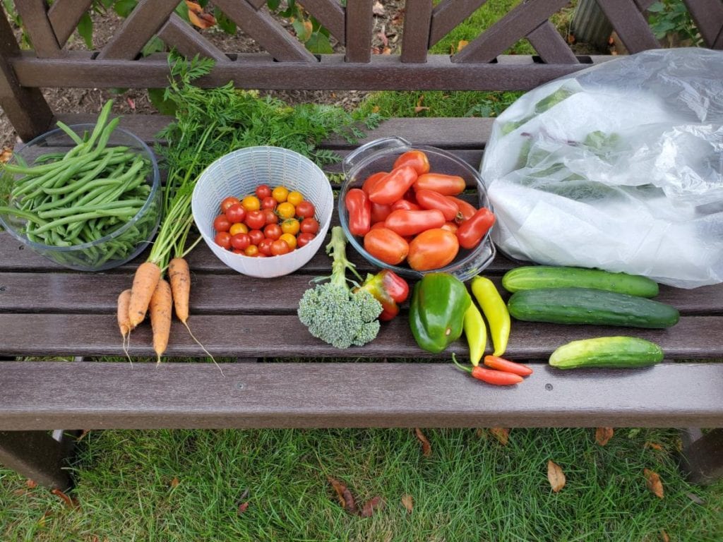 Start Growing Vegetables in Your Yard Dig Right In Landscaping, Inc