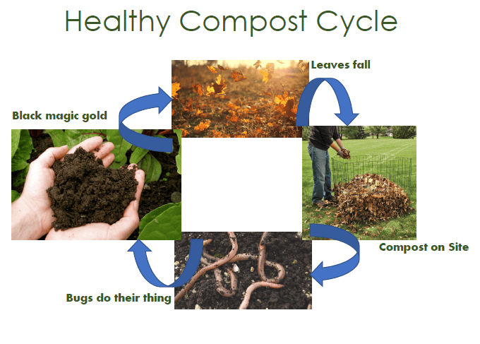 healthy compost cycle